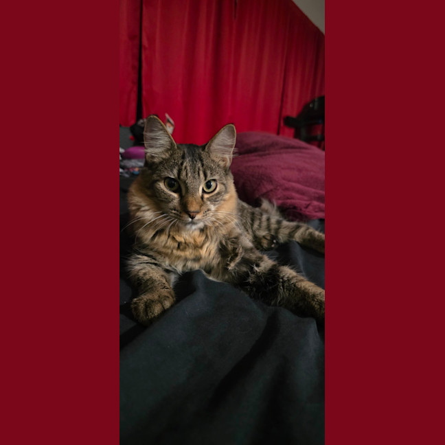 Photo of Quaza