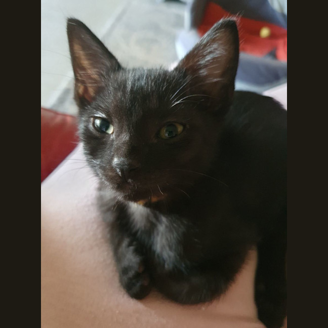 Photo of Zippy