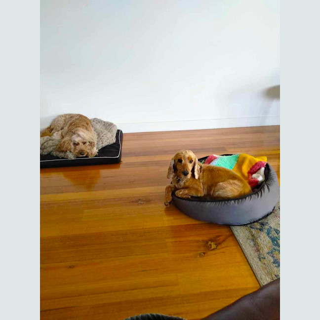 Photo of Mississippi