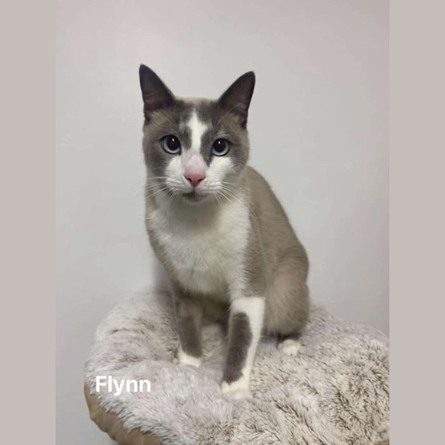 Photo of Flynn