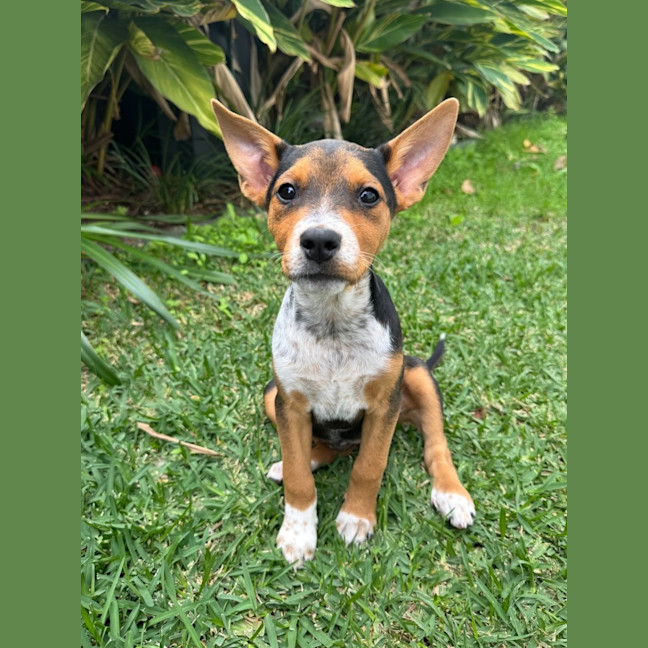 Photo of Asti