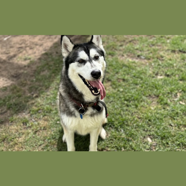 Photo of Bucky