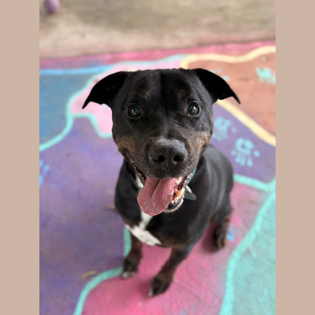 Photo of Junior