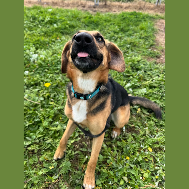 Photo of Cleo