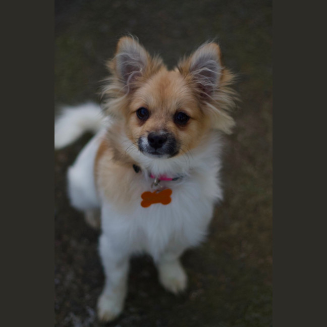 Photo of ☀️ Sonny ☀️