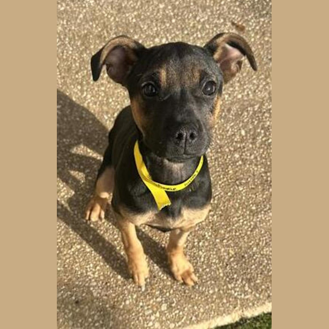 Photo of Winnie