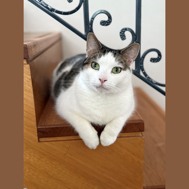 Photo of Sammi