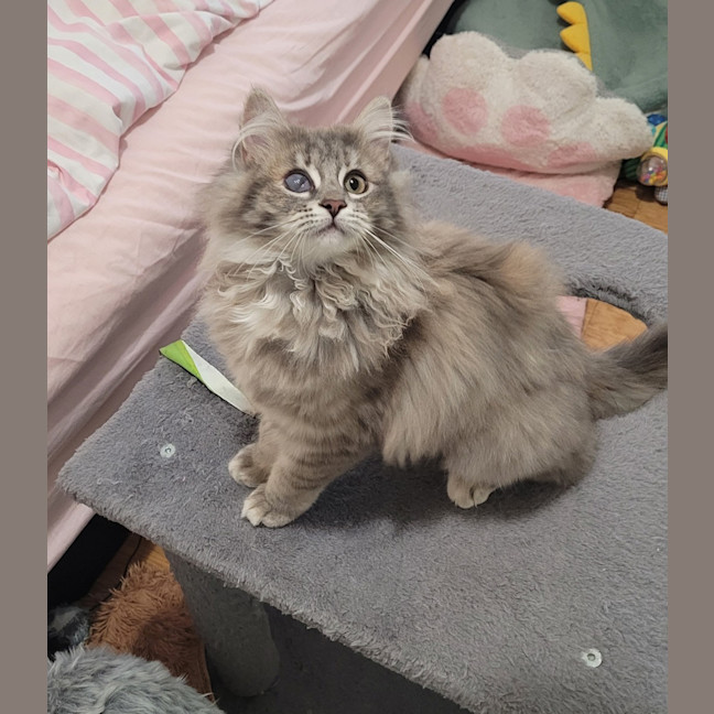 Photo of Rosie