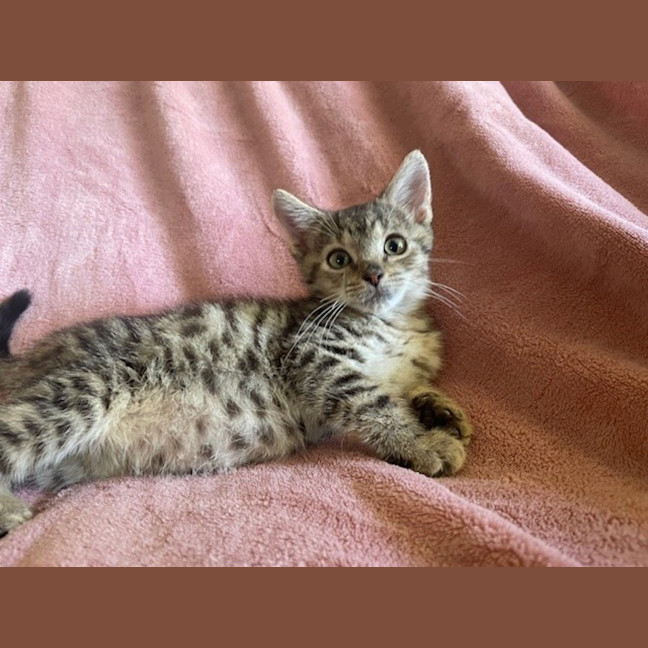 Photo of Skylar