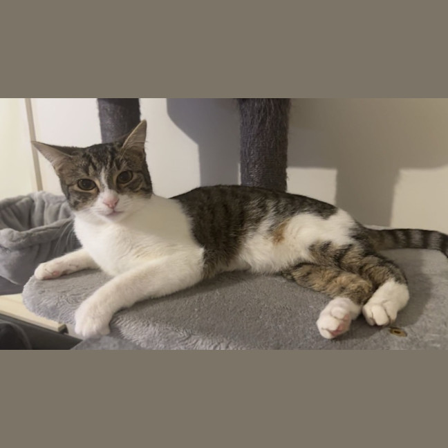 Photo of Monty