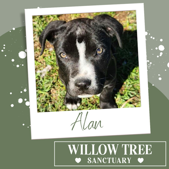 Photo of Alan