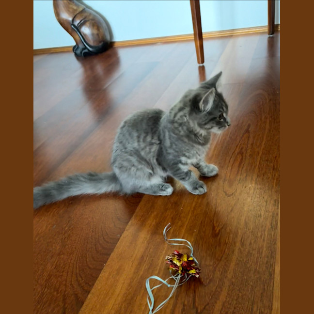 Photo of Londyn 😻💕💕😻