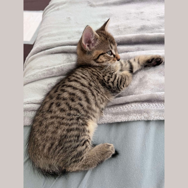 Photo of Navia & Rayne 