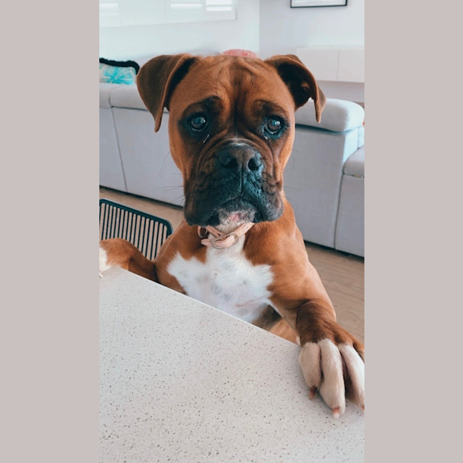 Photo of Tilly & Teddy