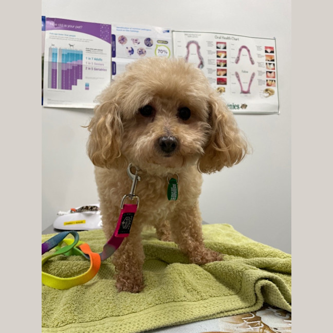 Photo of Belle And  Twaylah