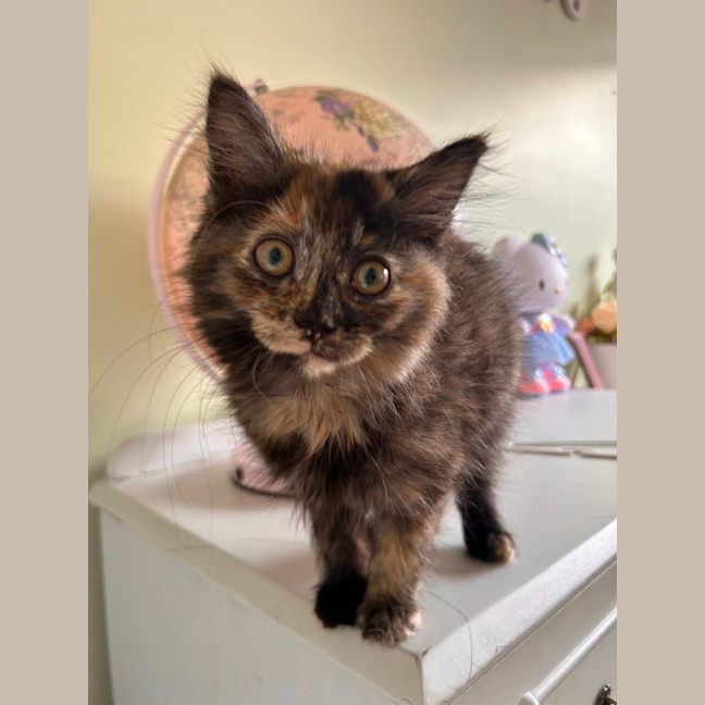 Photo of Peggy