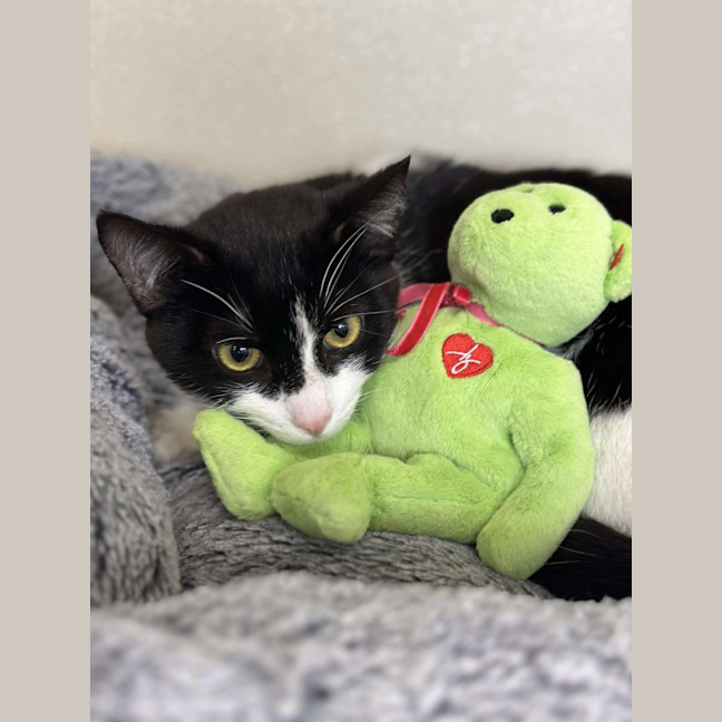 Photo of ⚓ Albie 6597 ⚓ 