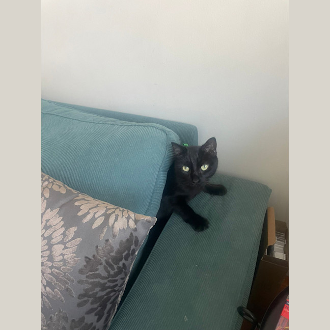 Photo of Moni