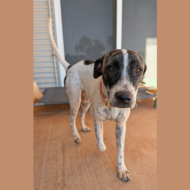 Photo of Dorothy