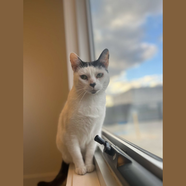 Photo of Carla