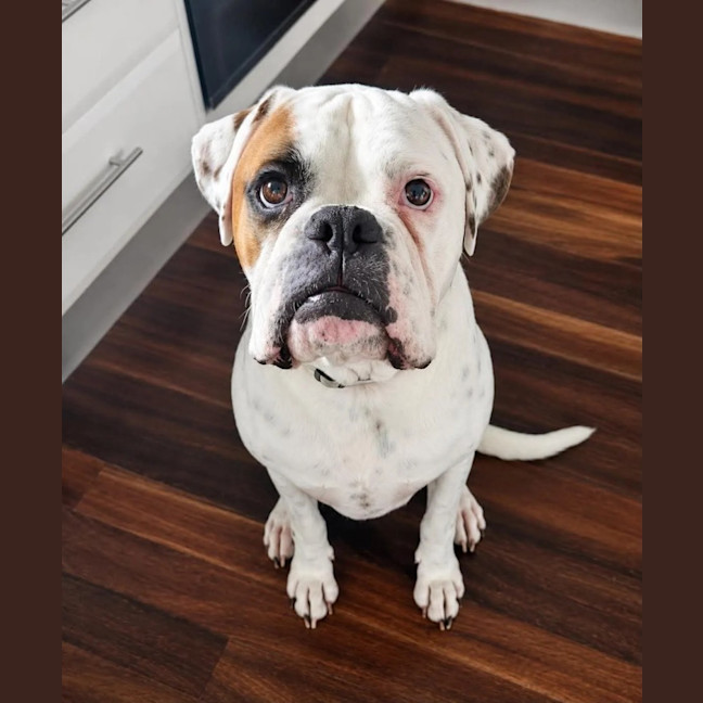 Photo of Storm