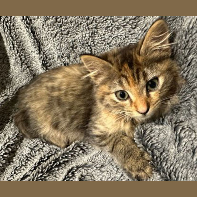 Photo of Zoe