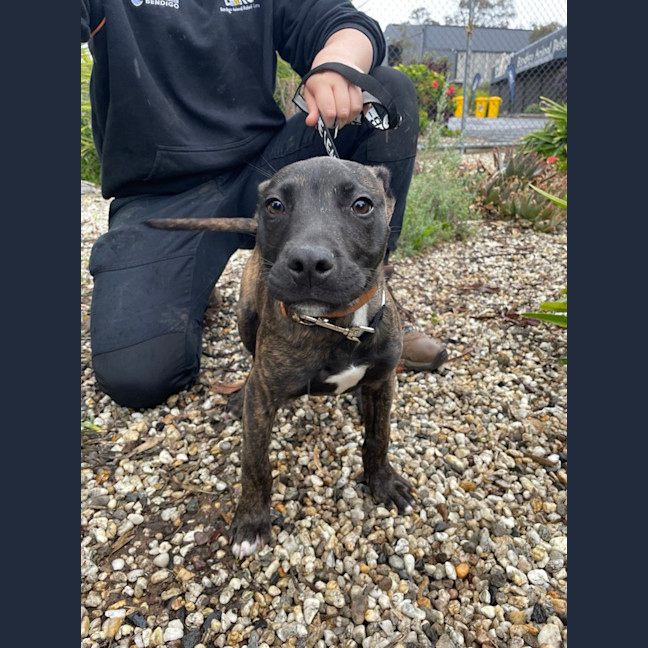 Photo of Long Walk On The Beach