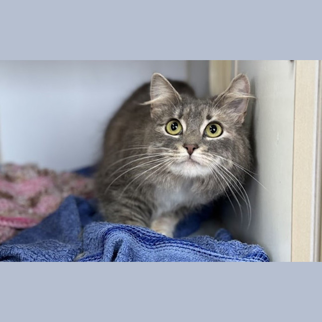 Photo of Shelly