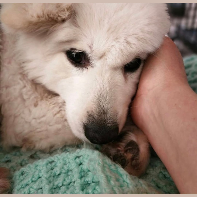 Photo of Keiko