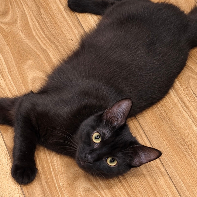 Photo of Sabrina