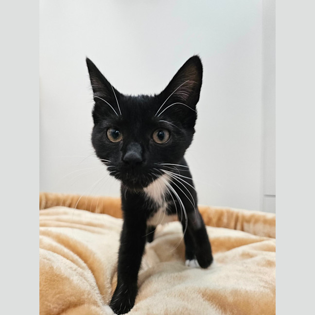 Photo of Chloe