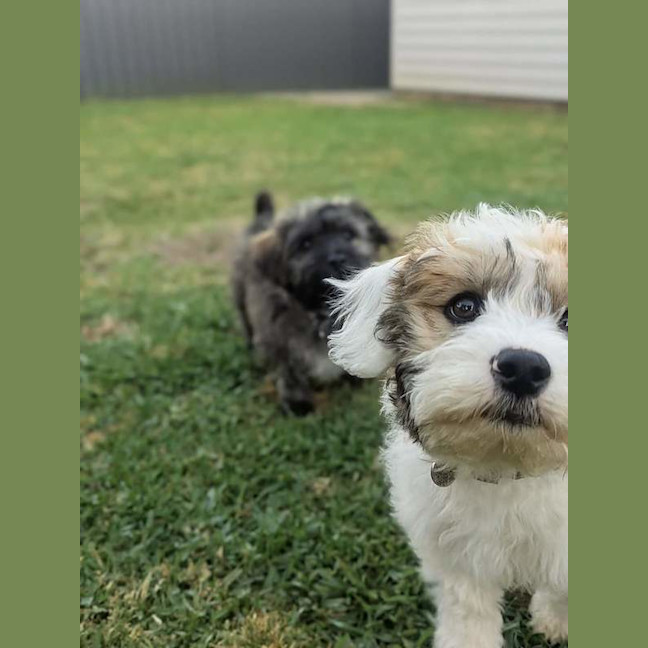 Photo of Errol