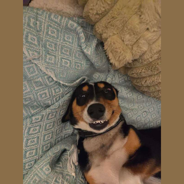 Photo of Roxy