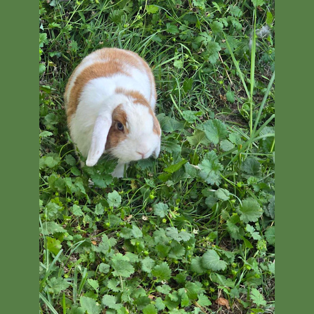 Photo of Aluna & Abby