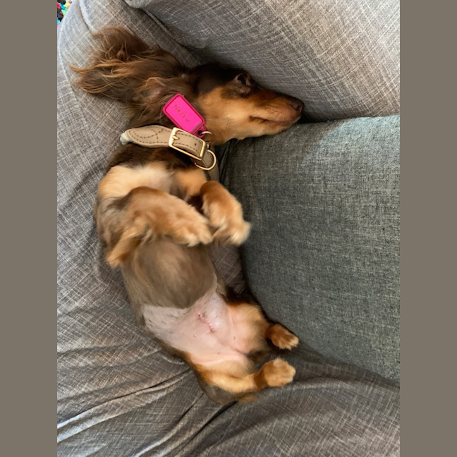 Photo of Norman And Nessa 