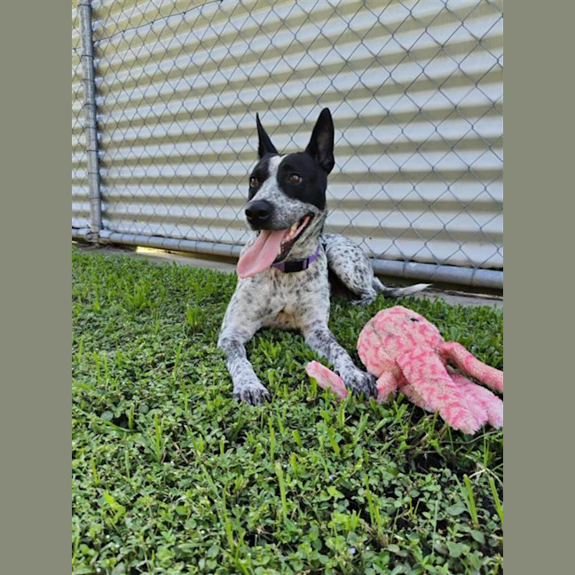 Photo of Bobbi