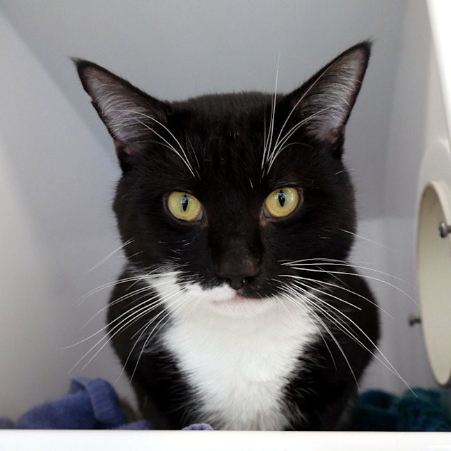 Photo of Charlie Sta015760