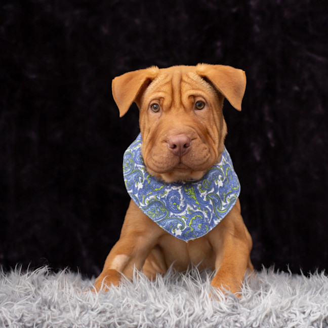 Photo of Jedi