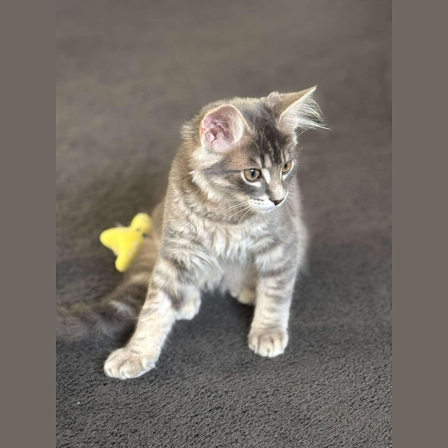 Photo of Maurice 💙