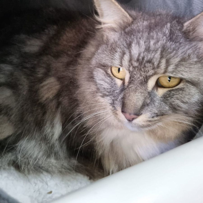 Photo of Lucy