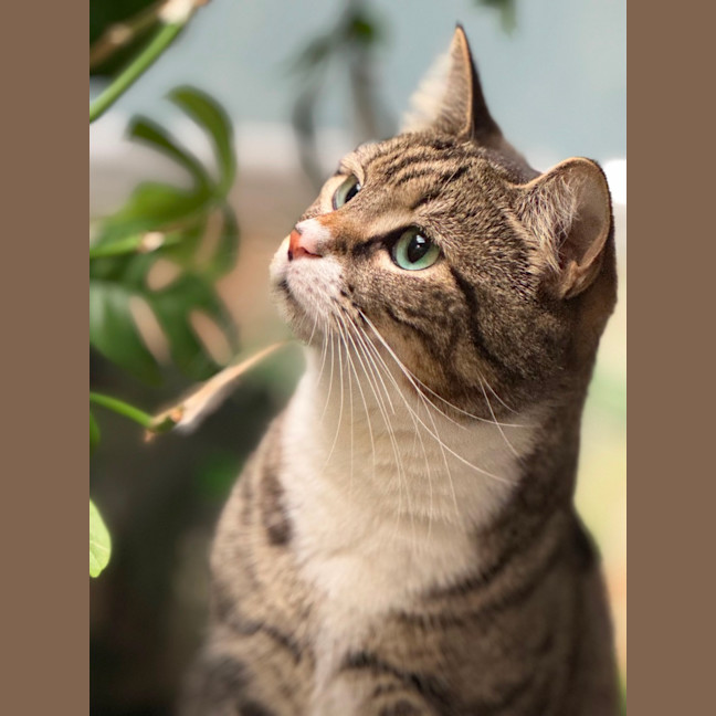 Photo of Alice