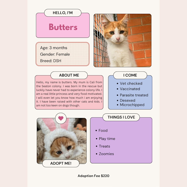 Photo of Butters
