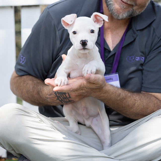 Photo of Casper