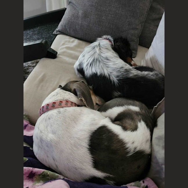 Photo of Ida And Tulsa