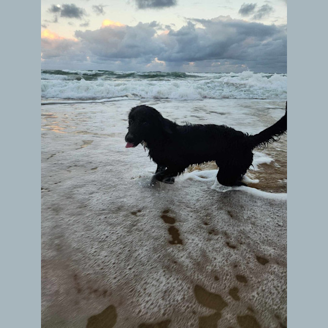 Photo of Lilly