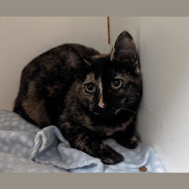 Photo of Deja