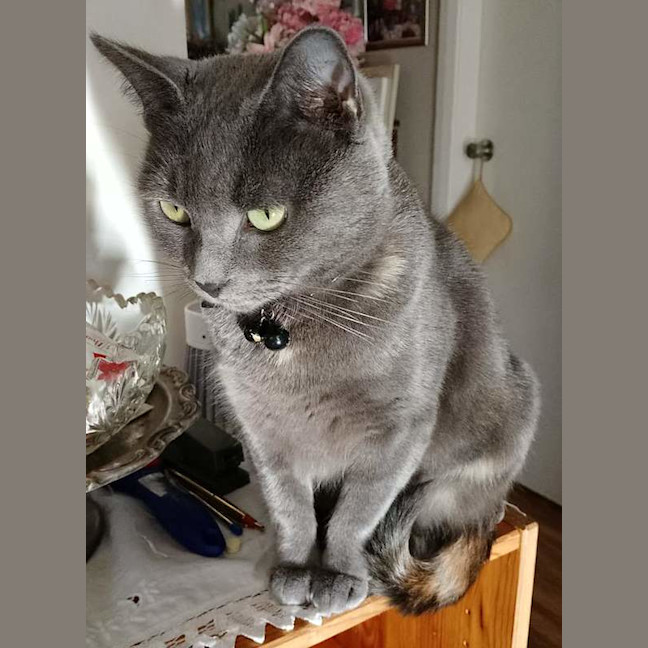 Photo of Pearl