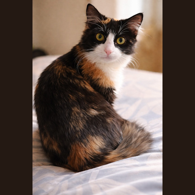 Photo of Mona