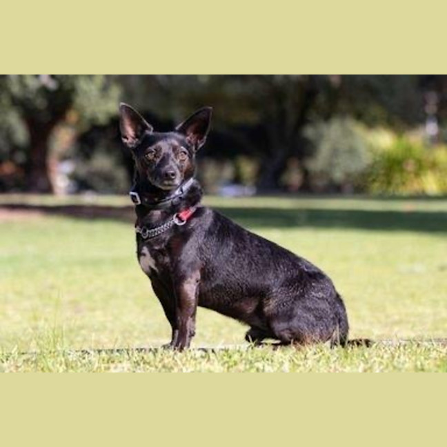 Photo of Basil Moriarty