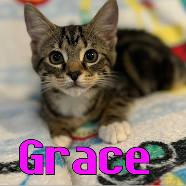 Photo of Grace